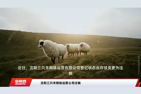 沈阳三只羊网络运营公司注销