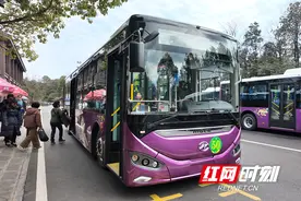 张家界国家森林公园40台新型纯电新能源环保车投入运行图片