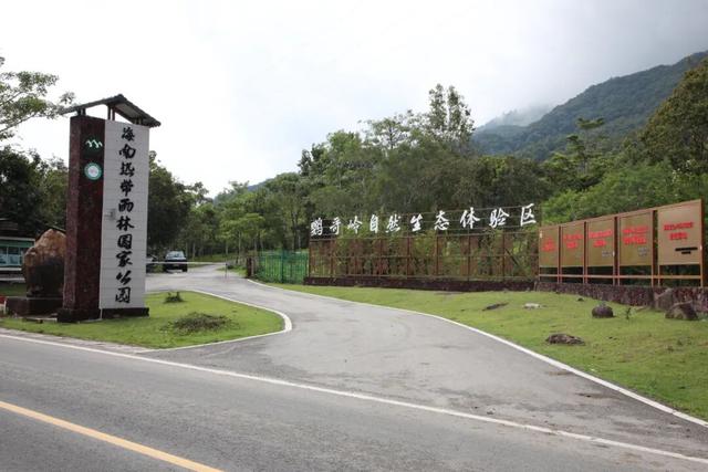 图观白沙 | 跟着赛事游白沙——白沙：自驾雨林公路，解锁国庆“森”呼吸