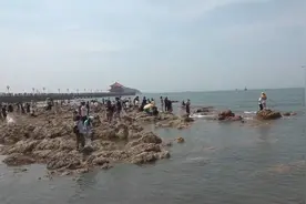 泉河湖海虽美 安全永远第一丨切莫擅自下海游泳 注意潮汐变化保安全图片