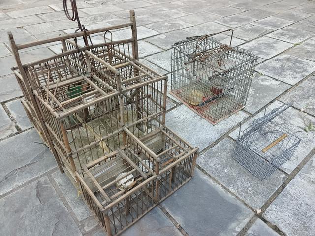 北京警方提示：看到这种笼子，马上举报！