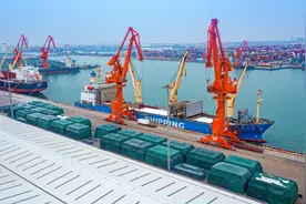 纸浆进口量稳居全国沿海港口首位，青岛港是怎样做到的？图片