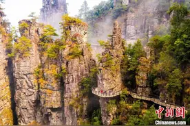 （新春走基层）广西金秀：游客瑶山赏非遗乐享春节图片