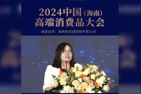 2024中国（海南）高端消费品大会 | 海南控股副总经理戴三娥：努力打造自贸港免税商业省属头部企业 已构建多元经营模式图片