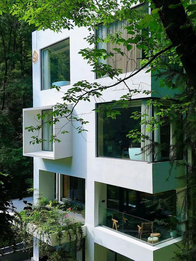 烟火不远，森林很近！在上饶云碧峰，找到一处“森呼吸”的栖息地