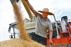 一位“00后”农机手的跨区麦收之旅图片