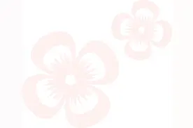 江苏省心理学会2025年第一次理事长办公会会议纪要图片