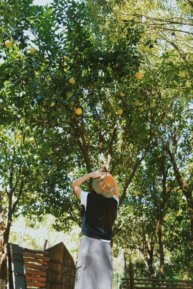 文旅湘江丨绝对不可以，错过长沙版的「秋日芦苇海」