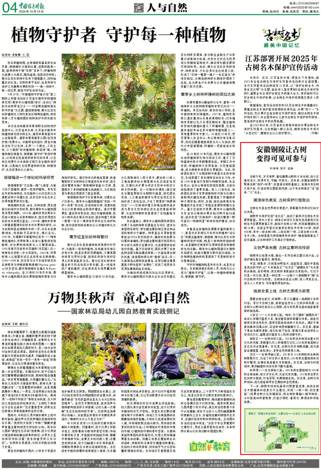 安徽铜陵让古树变得可见可参与（古树名木·最美中国记忆）