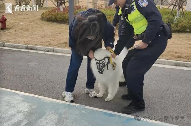 “史上最严”！违者最高拘留10天、罚1000元！1月1日起正式实施，网友：希望张贴到每个小区