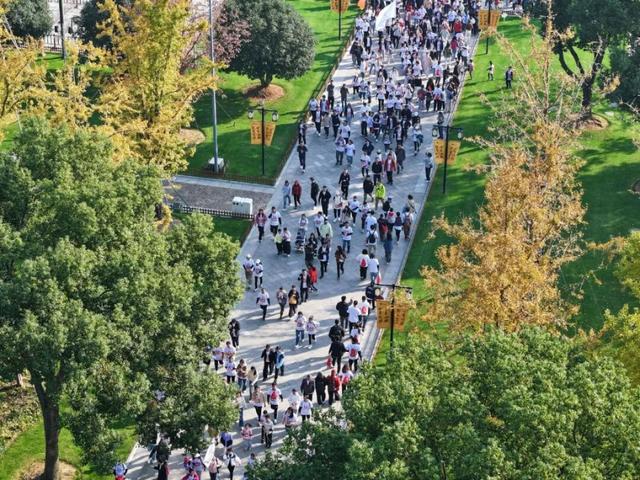 湖湾walk！好热闹啊