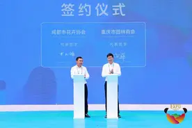 探访成都世园会郫都分会场：重庆必去打卡地也“搬”进了园区图片