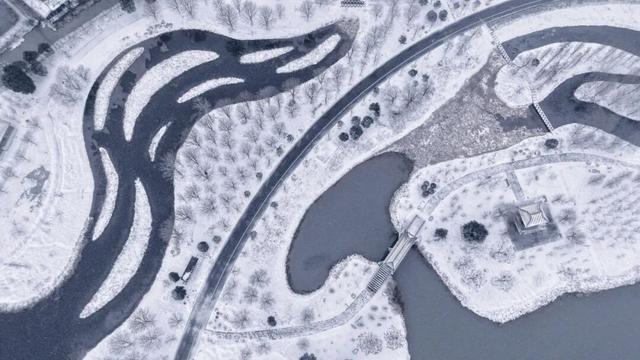 听雪落枝头，看松滋成画