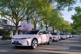 武汉的樱花有多爆？60台追光16天接待了四万多名外地游客图片