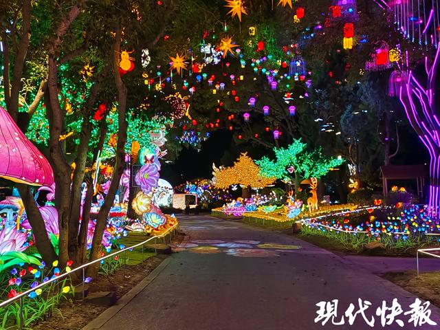 共赴一场“璀璨之约”！2025无锡梅园金秋灯会8月15日开启