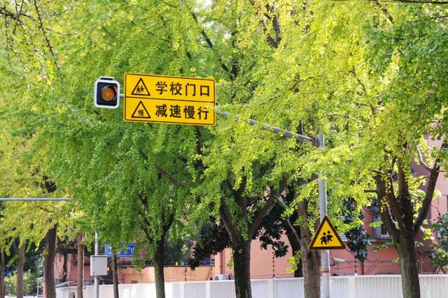 此时，闵行最美的地方就在……