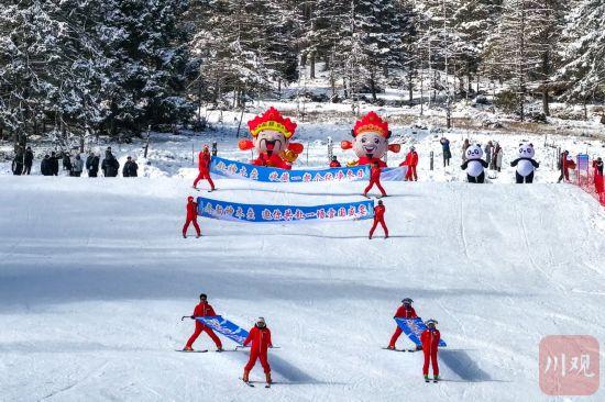 夹金山下滑雪！跟着大熊猫冬游雅安