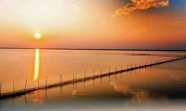 一份蟹肥满黄、银杏铺金的湖南秋冬出游清单