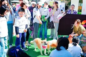 萌宠Party你参加了吗？徐汇这些宠物友好商场可逛图片