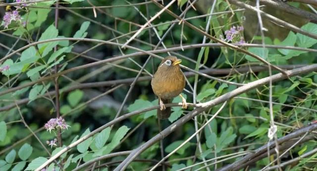 无锡最新追“星”指南，速收藏！