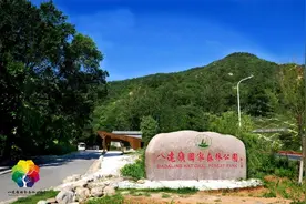 6月1日，北京八达岭国家森林公园开园迎客图片