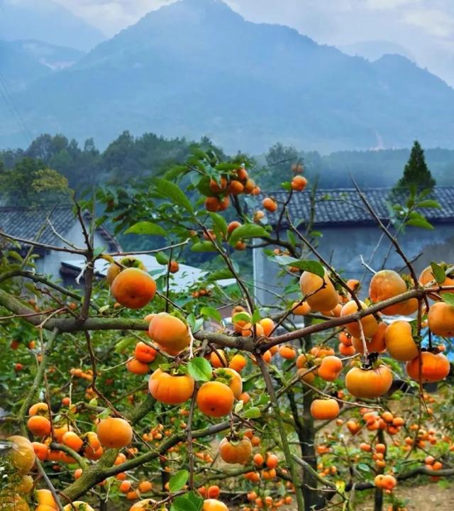 安逸四川 乐游绵阳 ‖ 工矿马角，山水清沟——江油市马角镇