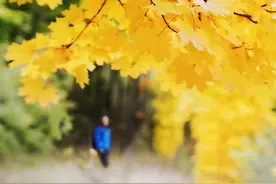 院墙自己开了门图片