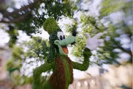 即将迎客流高峰！上海迪士尼度假区发提醒：有序排队，勿购买非官方渠道门票和游览服务图片