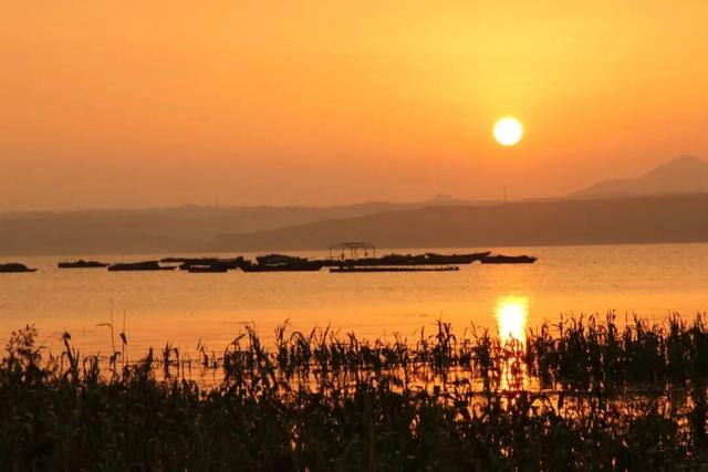 周末出发！河南最美彩色地图上线