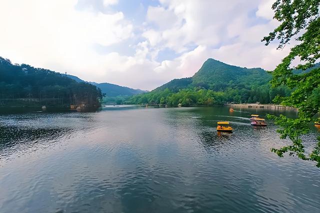 夜读｜叶辛：云去雾来黔灵山