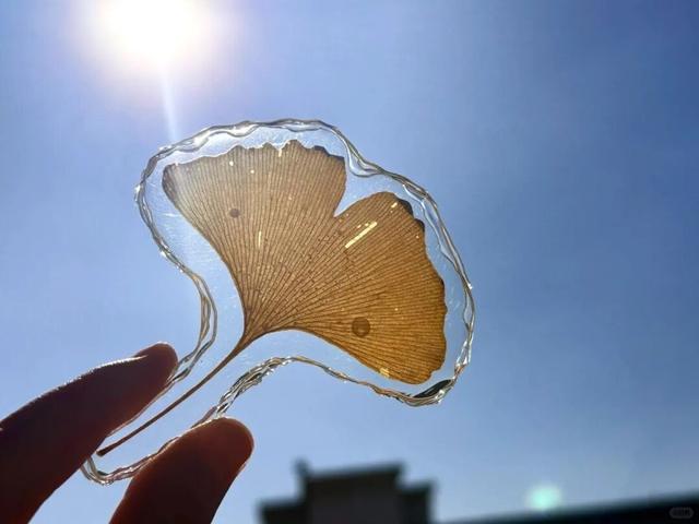 秋日限定“双骄”：从赏到玩转的完整攻略！