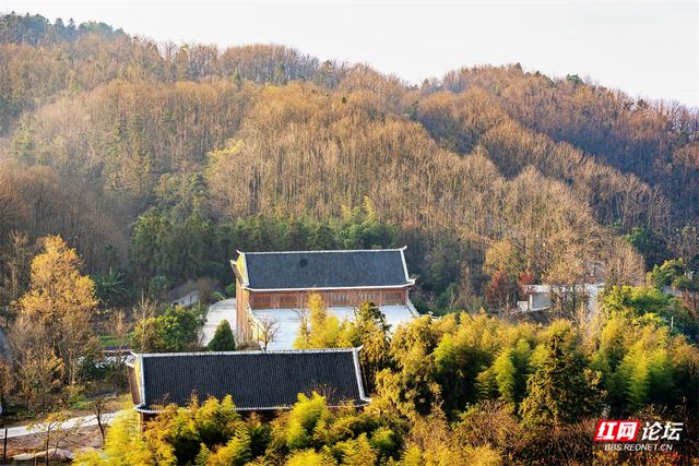【每日一图@湖南】周末去哪儿？漫步靖州飞山云雾仙境，收藏苗侗冬日浪漫