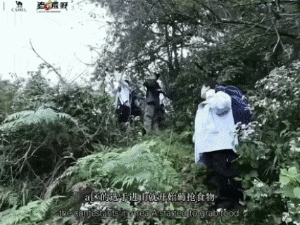 把人饿晕的荒野求生，咋那么多人抢着去？！