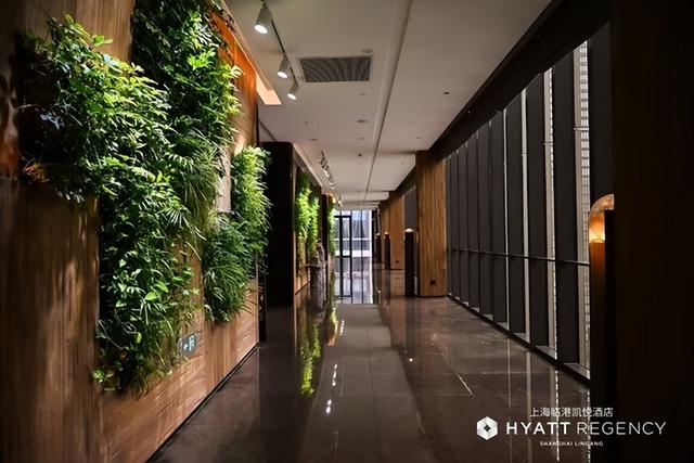 上海临港凯悦酒店群12月1日耀目启幕 双品牌共筑滴水湖畔旅居新地标