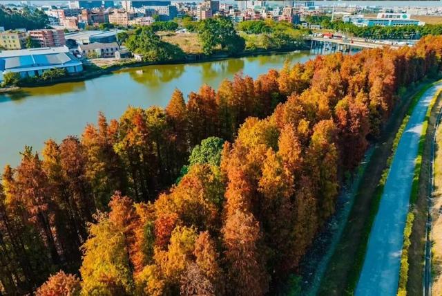 全网爆火！被里水这座浪漫岛屿惊艳到了！游玩攻略→