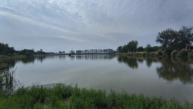 秋意浓，漫步图鉴就在→