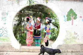罗朝琴：深山彝家女的山歌情缘图片