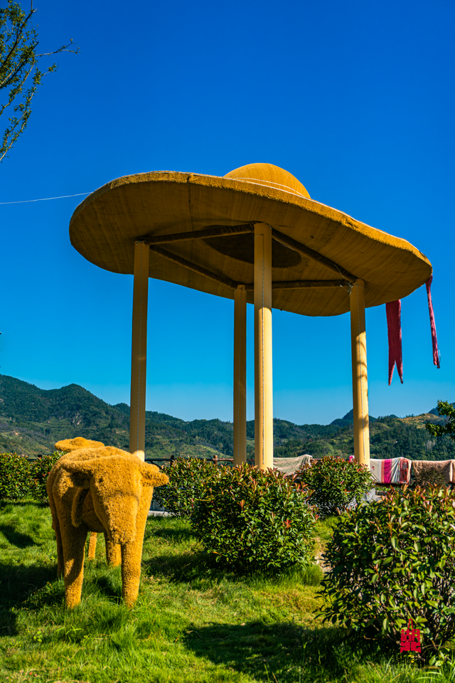 想追风，去团风！