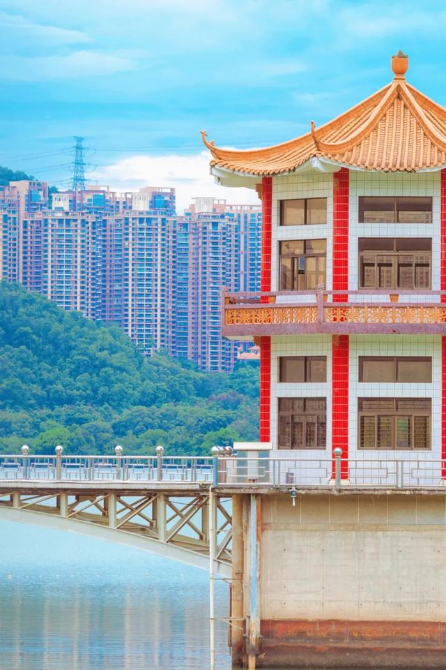 7公里黄金绿道！一天尽揽湖光山色