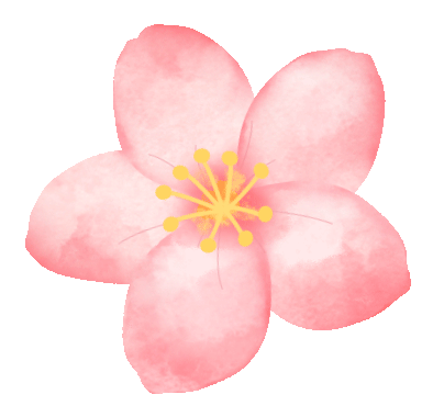 上海这个绝美城堡花园，免门票了！