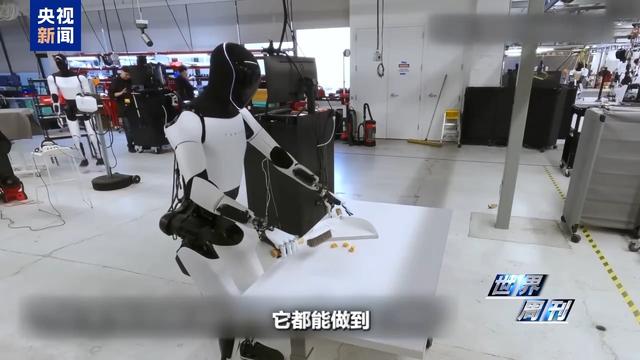 美国退休教授喜提AI伴侣，人类未来的生活搭子：机器人？