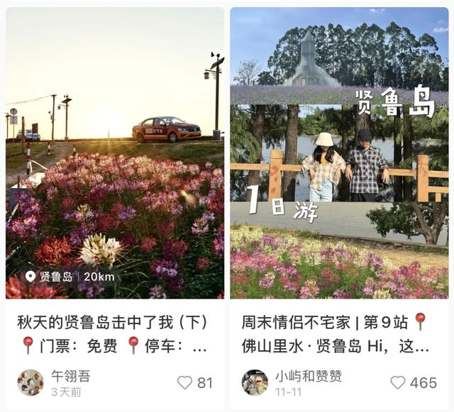 全网爆火！被里水这座浪漫岛屿惊艳到了！游玩攻略→