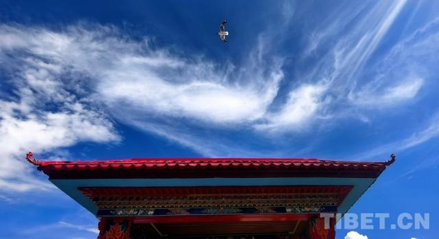 辉煌60年·我们的家园｜昔日荒滩变身美景 拉萨的诗意写在绿水青山间
