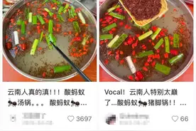 云南人真的猛，把蚂蚁下锅！打赌你不敢吃图片