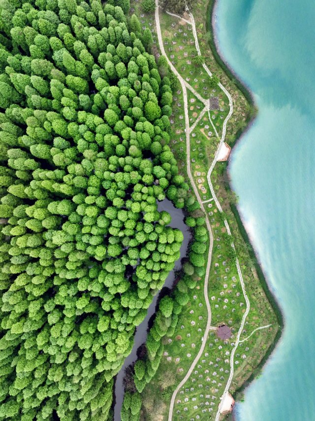 “央视新闻”力荐星湖！收藏这份攻略，即刻出发打卡～