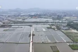 “新农具”为各地春耕春管按下“快进键” 希望的田野上“科技范”满满图片