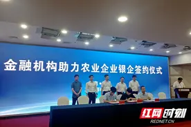 株洲：创新投贷联动模式 赋能高标准农田建设图片
