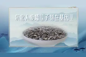 延缓衰老、改善失眠……嗑瓜子原来有这么多好处图片