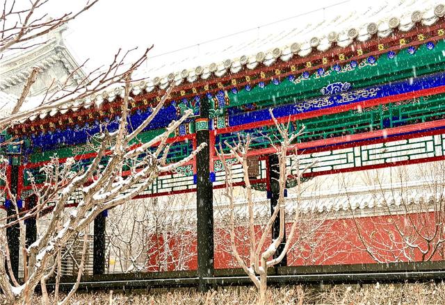 雪落青城诗意浓