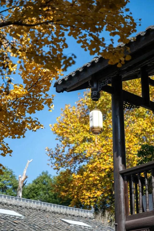 出发！来四川淘“金”